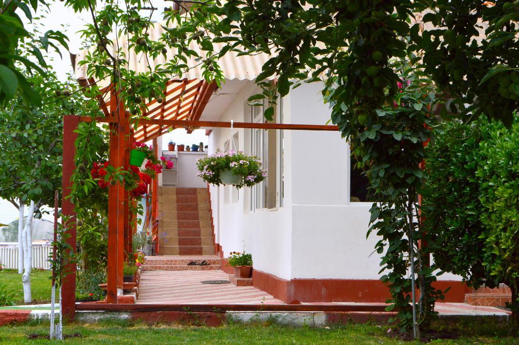 Casa Gia Hotel Costinesti Ngoại thất bức ảnh