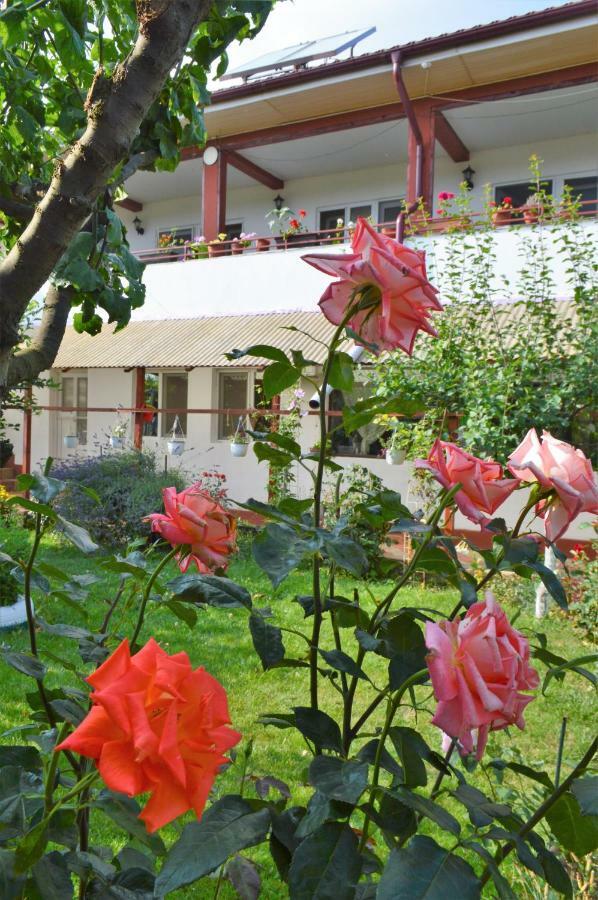 Casa Gia Hotel Costinesti Ngoại thất bức ảnh