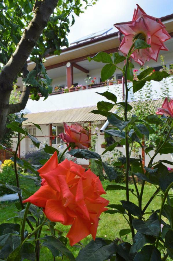 Casa Gia Hotel Costinesti Ngoại thất bức ảnh